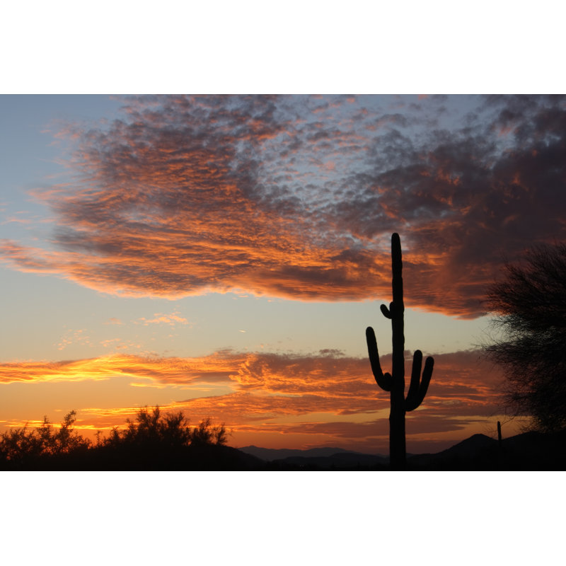" Beautiful Desert Sunset " by Strikingphotography, 12" W x 8" H