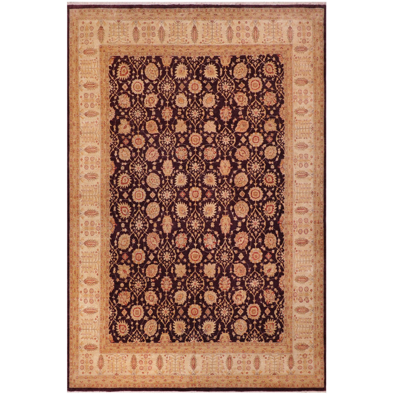 Siann Wool Oriental Indoor Rug