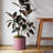 Modern Plastic Indoor/Outdoor Round Planter with Saucer-537849383-537849381