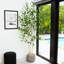 84'' Faux Birch Tree in Pot Liner