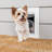 PetSafe® Wall Entry Pet Door-36299898