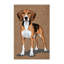 Tapis lavable pour chien-1794200604
