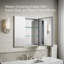 CLC Aluminum Two-Door Medicine Cabinet With Mirrored Doors, Beveled Edges-547797662