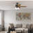 52" Amberlin 5 - Blade Standard Ceiling Fan with Pull Chain and Light Kit Included-56398025