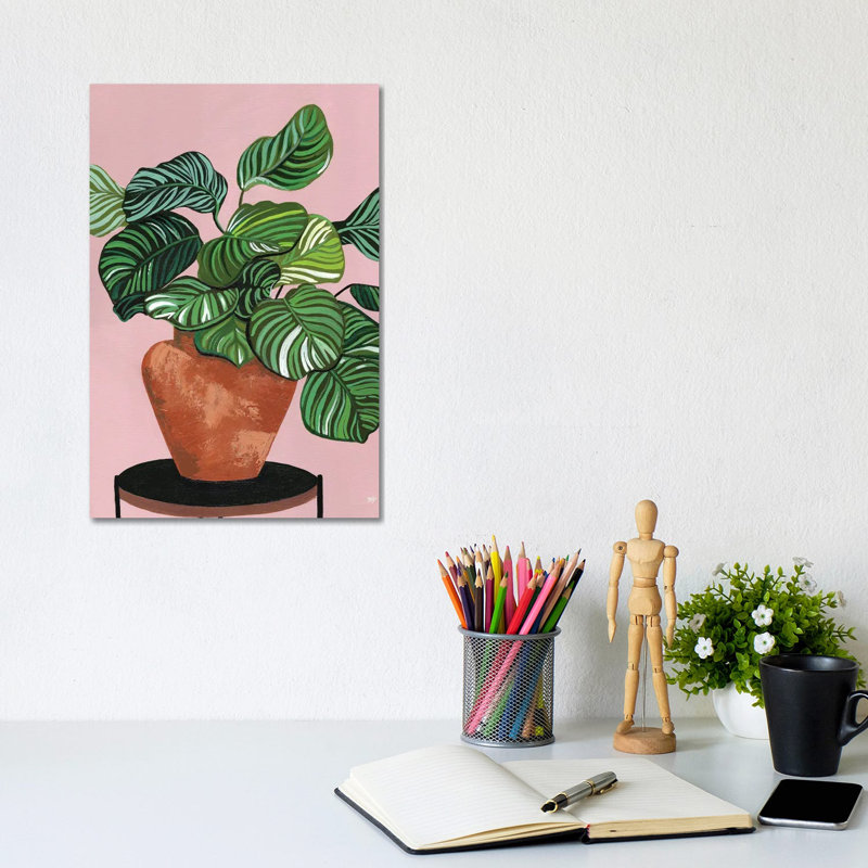 Calatheas by Bria Nicole - Print on Canvas, Wrapped Canvas, 20.32 cm H x 30.48 cm W