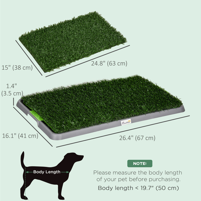 Tapis de pelouse artificiel pour dressage de petits chiens