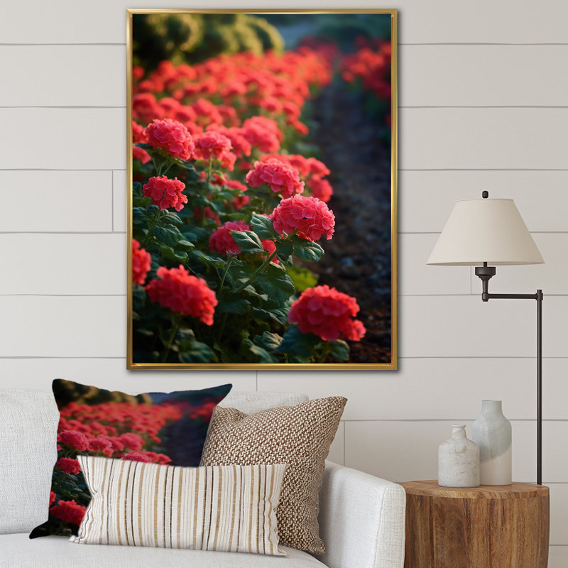 Photo Og Geraniums Field sur impression sur toile, Cadre flottant doré, H 32 po x l 24 po x P 1 po