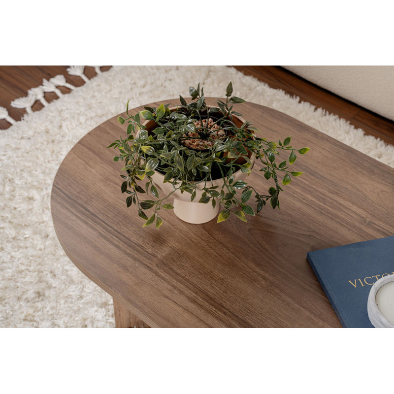 Tatjana Coffee Table, Wood, Venezia Walnut, Venezia Walnut