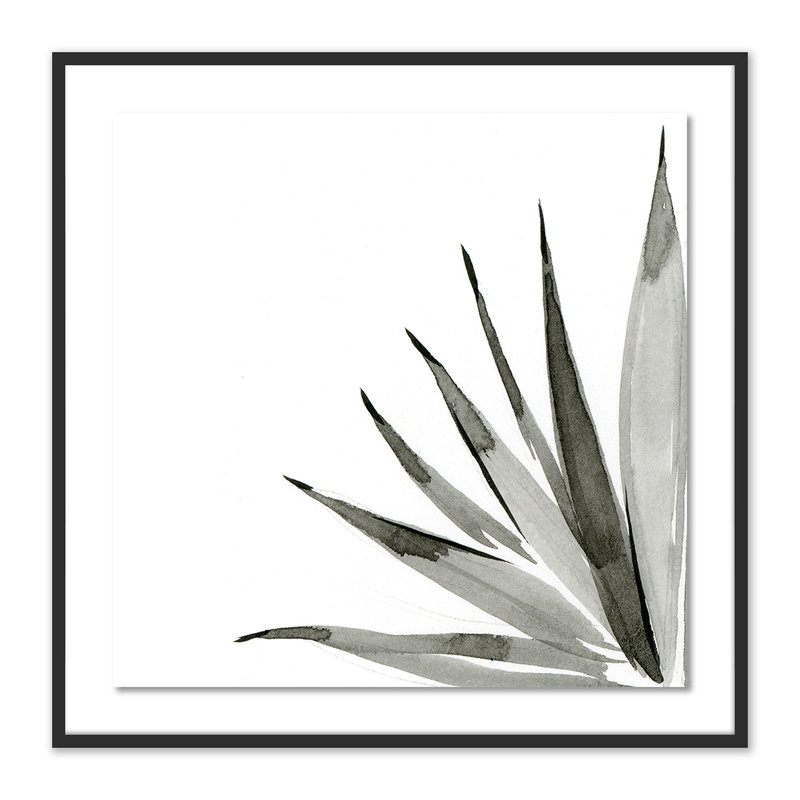 Agave I Print by Jess Engle, 40" H x 40" W x 2.5" D, Black