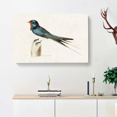 Male Barn Swallow by Von Wright - Wrapped Canvas