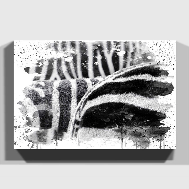 Zebra Stripes - Wall Art, 35cm H x 50cm W, Wrapped Canvas