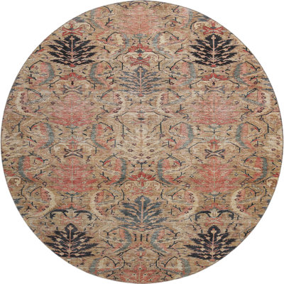 Premium Machine Washable Jamestown AMF1082 Damask Rug