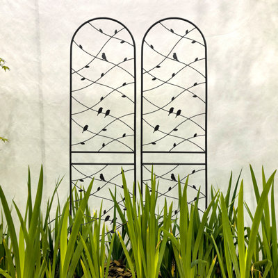 86.7"X19.7" Rustproof Metal Trellis, For Pea Vines, Outdoor Garden Support Screen, Black 2 Pack Jasmine Flowers, Holder,
