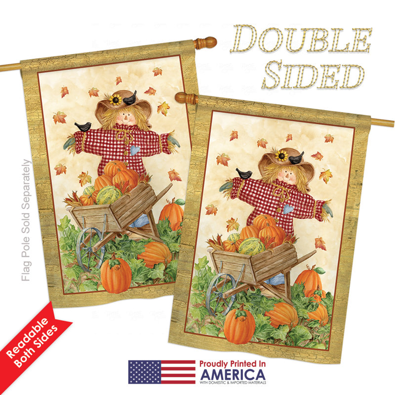 Double Sided Polyester House Flag, 18.5" H x 13" W