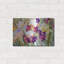 «Iris Garden I» par Sharon Pitts, Me-645197243