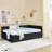 Full Size Daybed With Trundle, Upholstered Tufted Sofa Bed, Comfortable Backrest And Armrests, Velvet Fabric For Elegant Seating