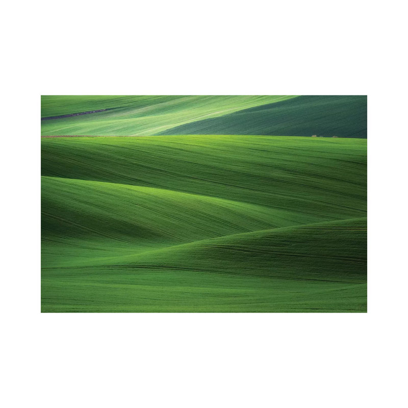 Europe, Czech Republic. Moravia Wheat Fields. by Jaynes Gallery - Wrapped Canvas Print, 20.32cm H x 30.48cm W x 1.91cm D
