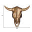 Heurtoir de porte Steer Skull