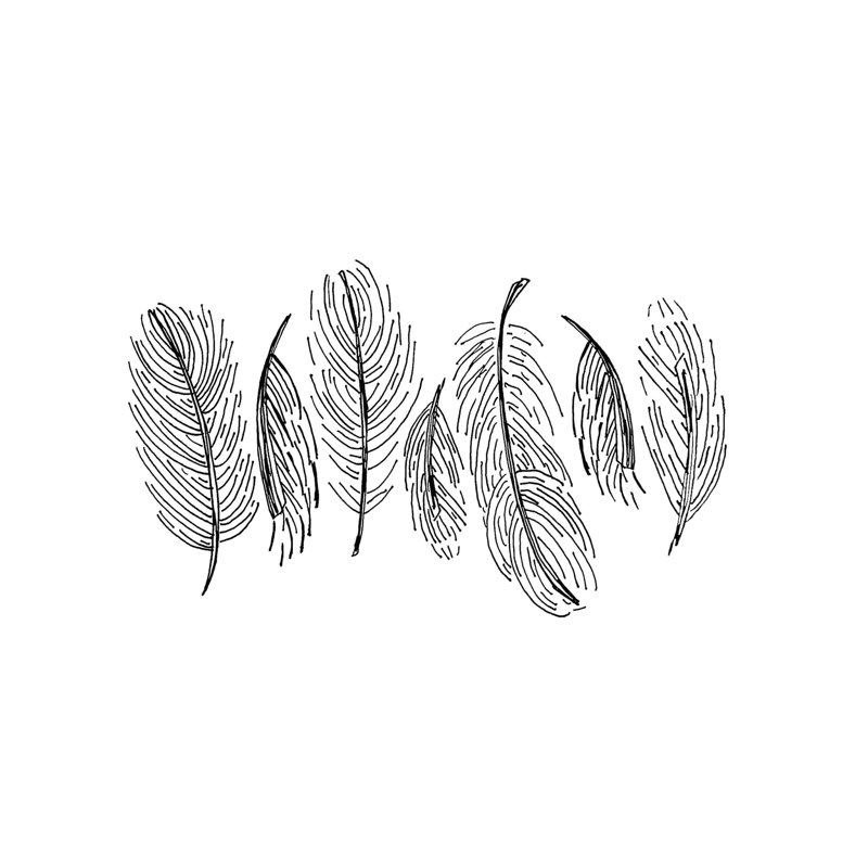Croquis de plumes - impression sur toile tendue, H 20 po x l 30 po