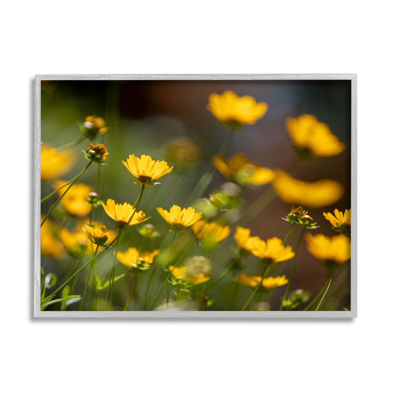 Art de la giclée champ jaune, jaune, par Aaron Matheson, H 11 po x l 14 po x P 1,5 po, Estampe numérique Farmhouse