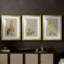Botanical Array I - Impression personnalisée de qualité supérieure avec cadre mat - 3 pièces-1897491981-1897491985