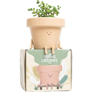 Cute Pots Pot Planter