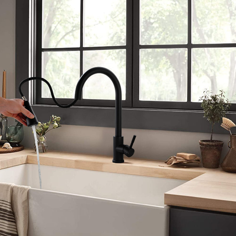NOVEL Pull Out Kitchen Faucet, Matte Black