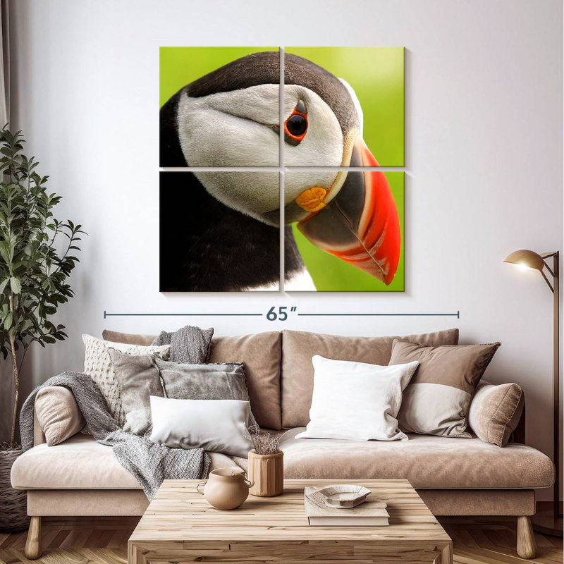 Brampt Wild Puffin