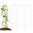 Cece 180cm H x 50cm W Metal Arched Trellis