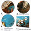 «Classic Art Représentation of A Turtles Coastal Life» sur toile-97048578-97048566