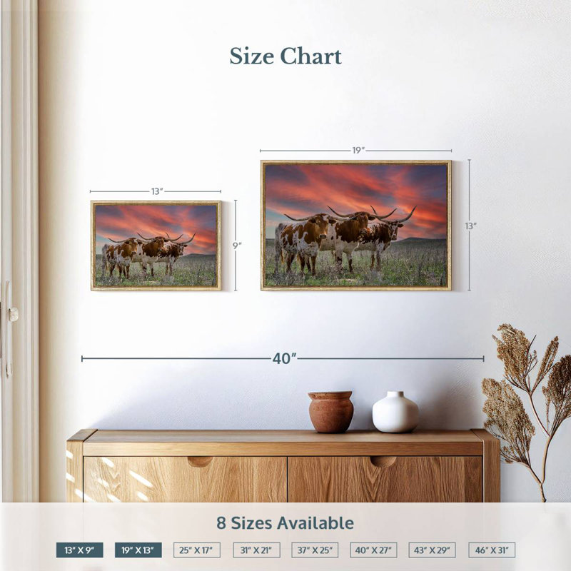Trois Longhorns du Texas, 19 po x 13 po, Cadre flottant en bois naturel