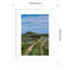 Impression sur toile encadrée «Daisy Path» par Shot par Clint Wood-823723992-823723988