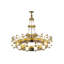 42 - Light Chandelier