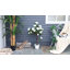 Charleston 90cm Plant-55937756