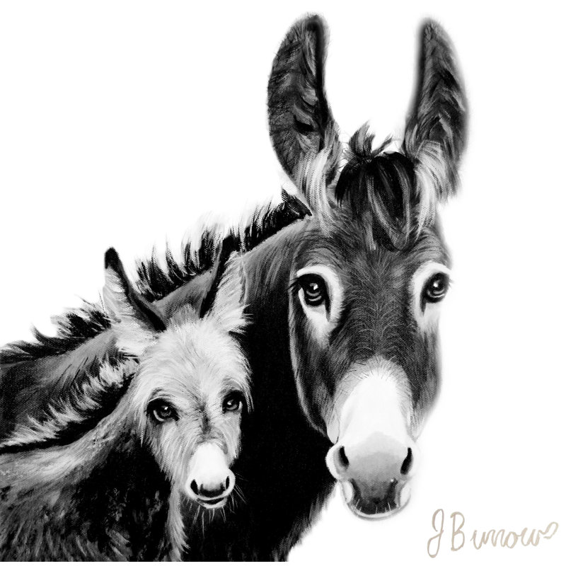 «Donkey Family» par l'artiste locale Janet Burrows, H 27 po x l 27 po, Noir et blanc, Cadre doré