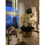Roberi bowl with multiple stems of white Phalaenopsis orchids-1152908704-1155361734
