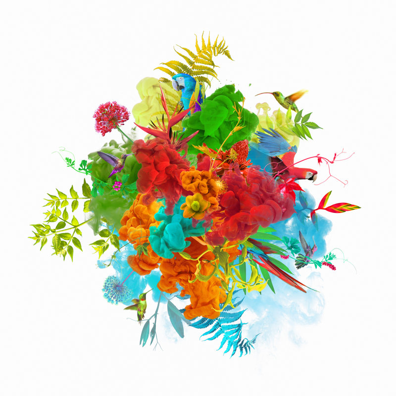 «Paint Explosion with Plants» par Viseurskaya, H 30 po x l 30 po