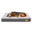 Lit pour chien Pillow-60530307