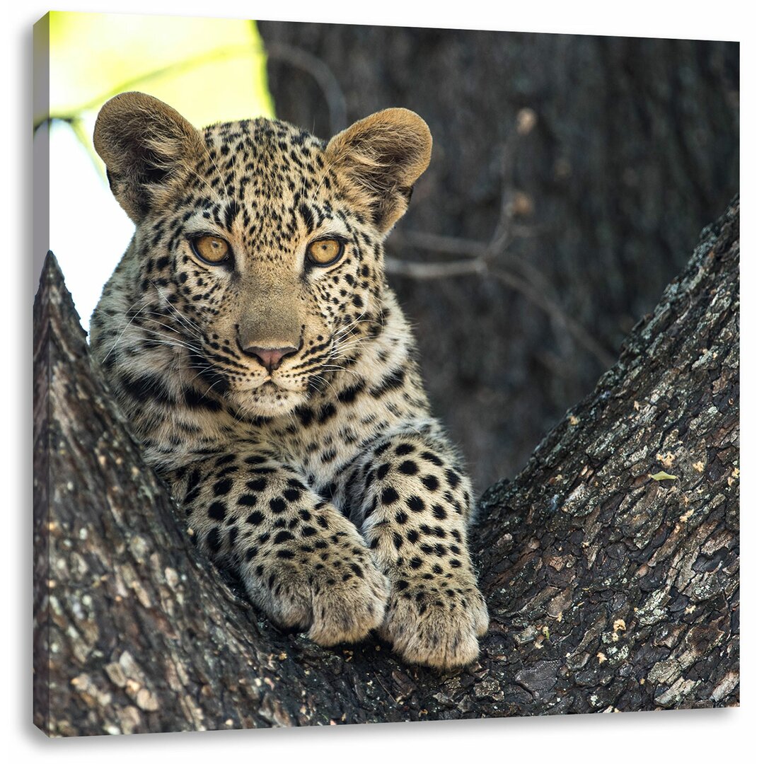 Leinwandbild Leopardenbaby