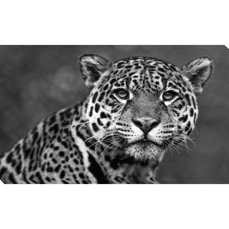 " Leopard ", 18" H x 30" W x 1" D
