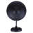 Aarilyn Outdoor Gooseneck Barn Light, Rustic Black Finish
