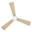 Ventilateur de plafond avec lumières DEL Brona-88410798-88410796