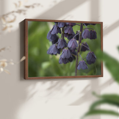 Aubergine -Framed Print - Restickable