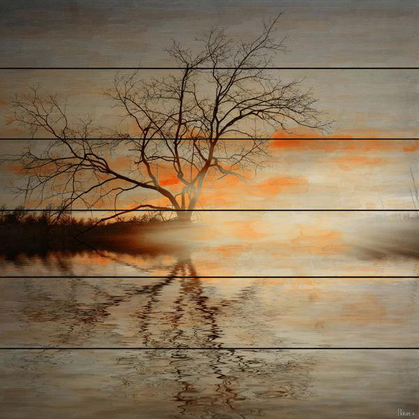 No Frame Print on Wood, 61cm H x 61cm W