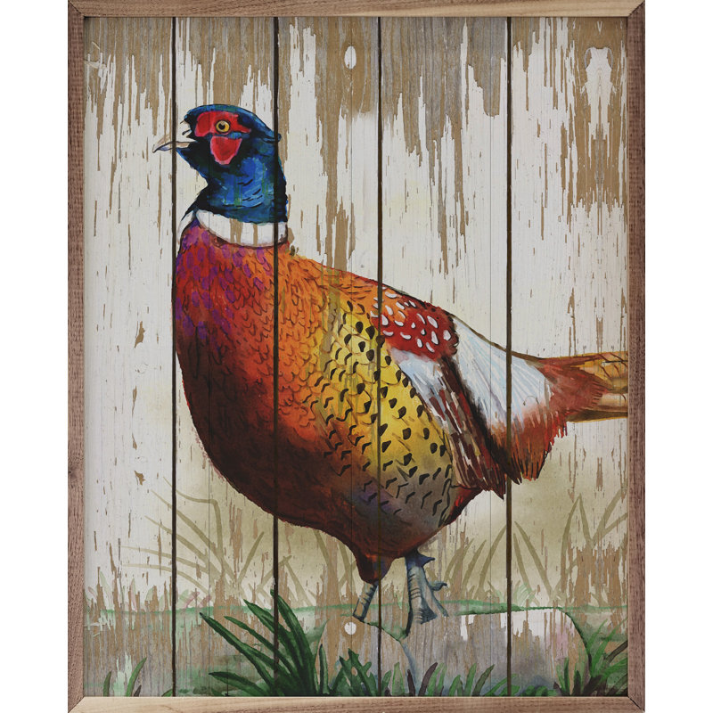 Common Pheasant, H 20 po x l 16 po