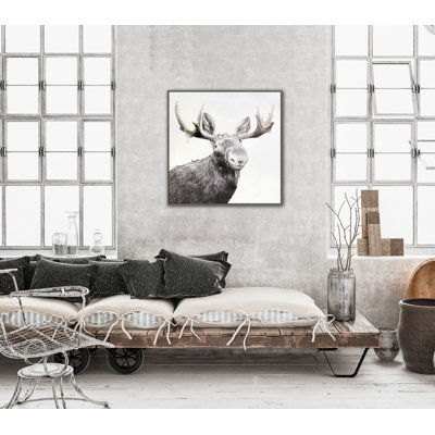 Antler Aura Canvas Wall Art