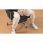 Inbox Zero Adjustable Reclining Ergonomic Faux Leather Swiveling PC & Racing Game Chair-475786394