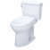 TOTO 1.28 GPF Elongated Floor Mounted Two-Piece Toilet (Seat Included)