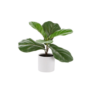 Artificial Ficus 12-in