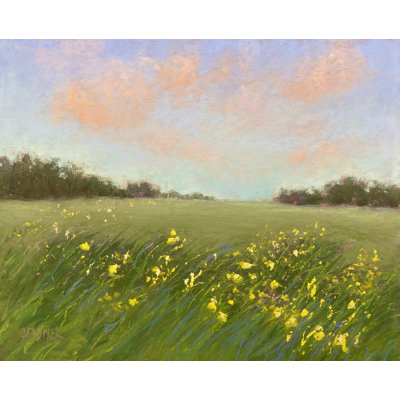 Walking On Sunshine Print by Dina Gardner